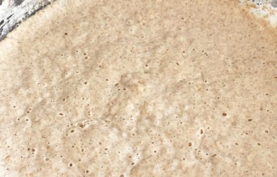 Sourdough Starter